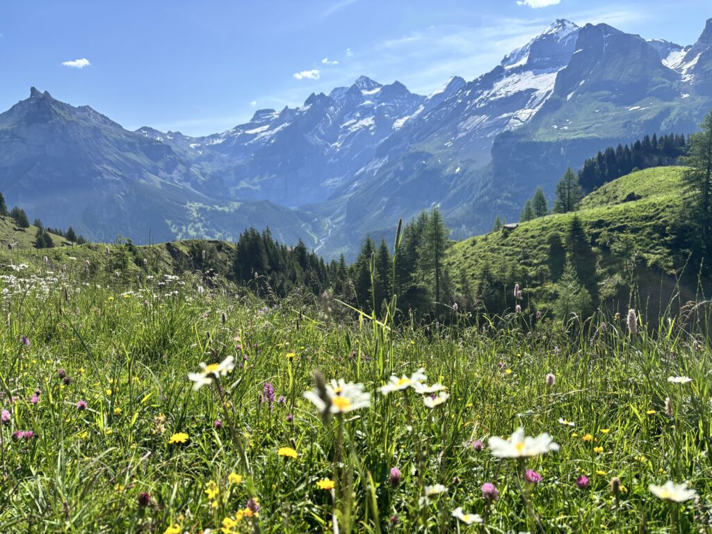 Allmenalp view over beautiful Swiss mountains, Oeschinensee in the background