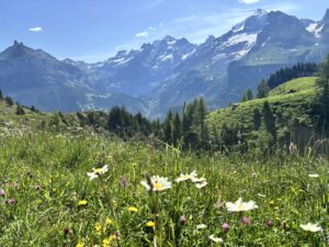 Allmenalp view over beautiful Swiss mountains, Oeschinensee in the background